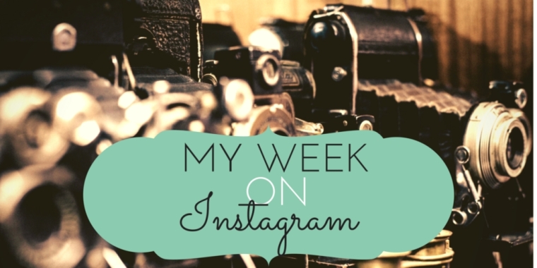 curvysalad week on instagram